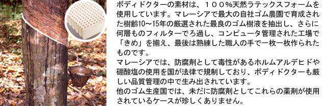正反発枕 ボディードクターピロー