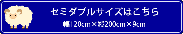 セミダブル