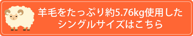 シングルサイズ