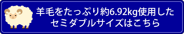 セミダブル